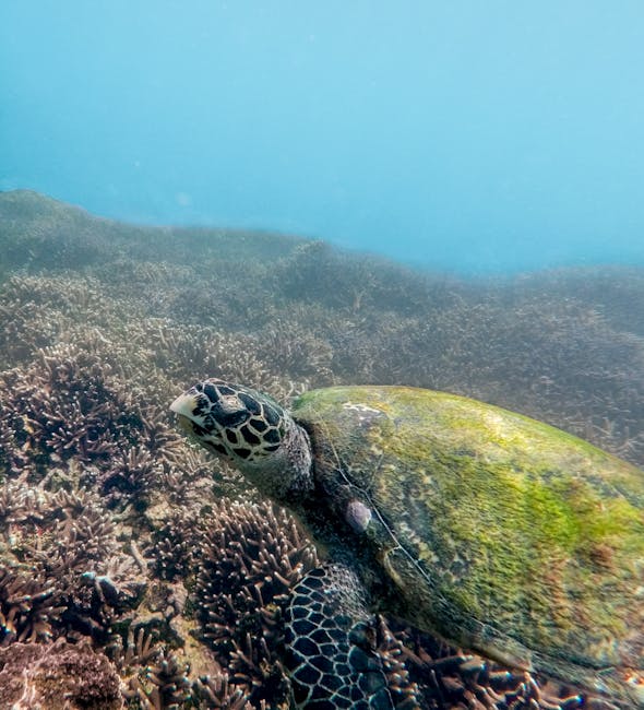 Sustainable Tourism